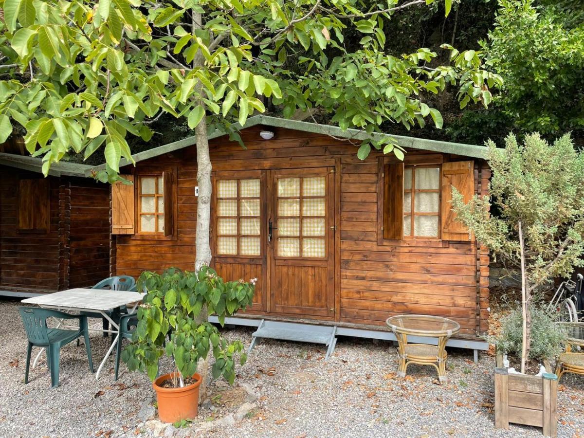 Agricamping Le Terrazze Hotell Orco Feglino Exteriör bild